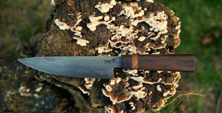 La Forge du Sanglier Pourpre
